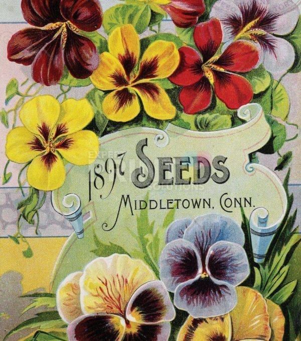 Vintage Retro Flower Seed Label #33 Garden Flag