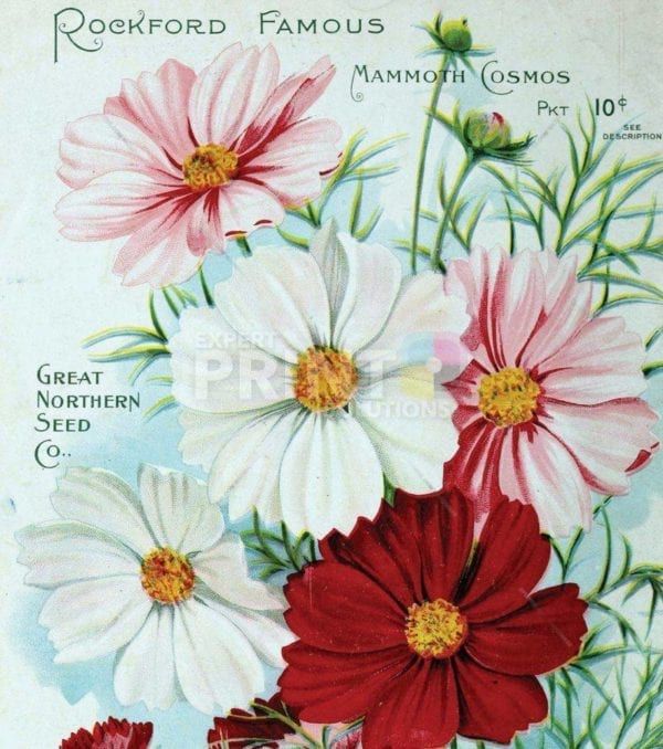 Vintage Retro Flower Seed Label #34 Garden Flag