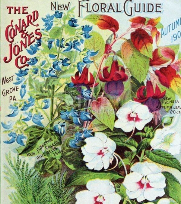 Vintage Retro Flower Seed Label #40 Garden Flag