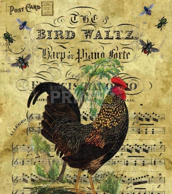 Vintage Rooster And Bees Garden Flag