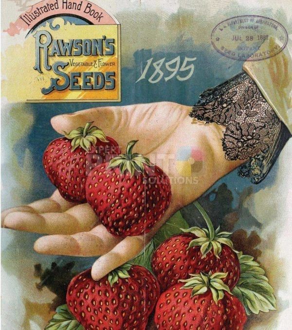 Vintage Retro Vegetable and Fruit Label #5 Garden Flag