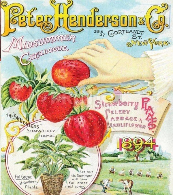 Vintage Retro Vegetable and Fruit Label #13 Garden Flag