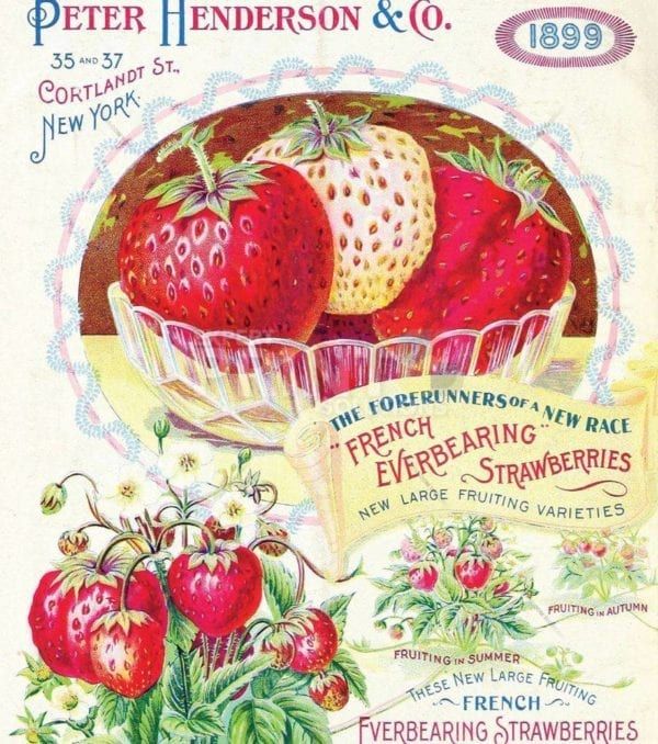 Vintage Retro Vegetable and Fruit Label #14 Garden Flag