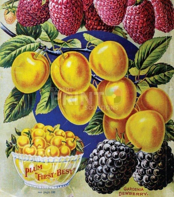 Vintage Retro Vegetable and Fruit Label #16 Garden Flag