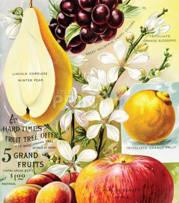 Vintage Retro Vegetable and Fruit Label #18 Garden Flag