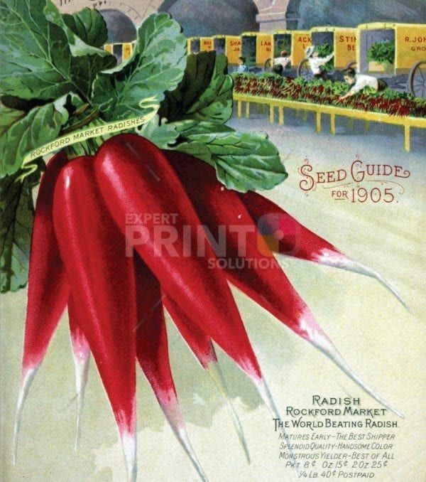 Vintage Retro Vegetable and Fruit Label #26 Garden Flag