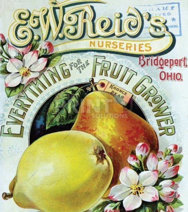 Vintage Retro Vegetable and Fruit Label #31 Garden Flag