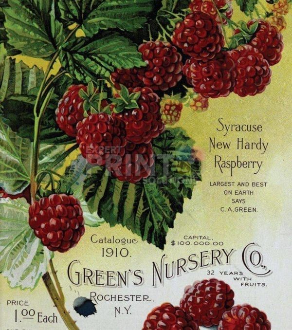 Vintage Retro Vegetable and Fruit Label #32 Garden Flag
