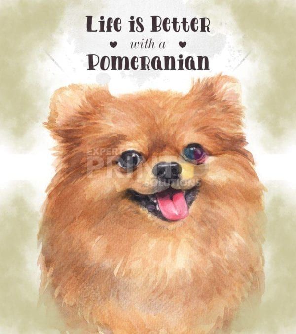 Life is Better with a Pomeranian Garden Flag