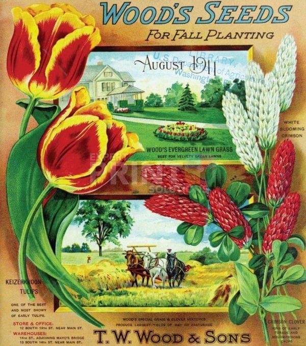 Retro Vintage Flower Seeds Label #1 Garden Flag