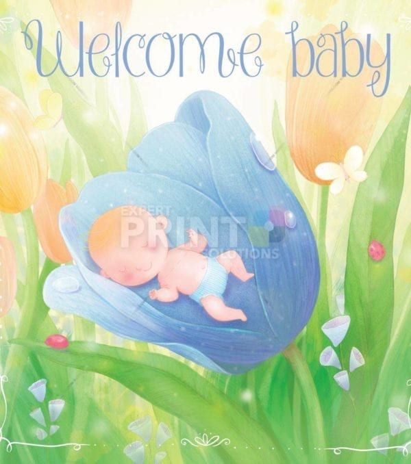 Welcome Baby - Boy Garden Flag