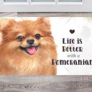 Life is Better with a Pomeranian Floor Sticker