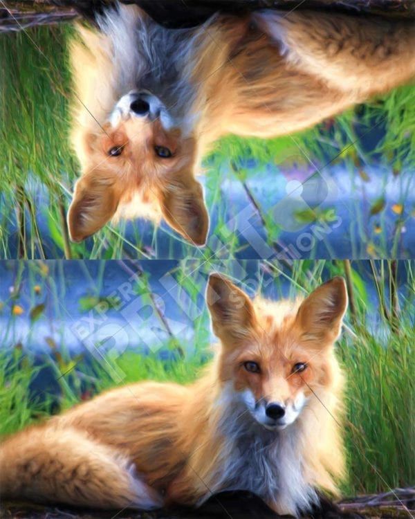 Beautiful Young Fox Decorative Curbside Farm Mailbox Cover