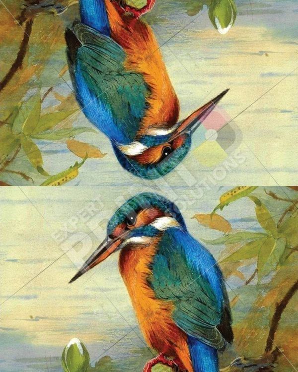 Beautiful Kingfisher Above the Pond Decorative Curbside Farm Mailbox Cover