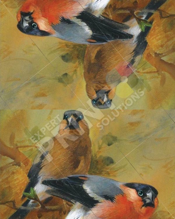 Autumn Bullfinch Couple Decorative Curbside Farm Mailbox Cover