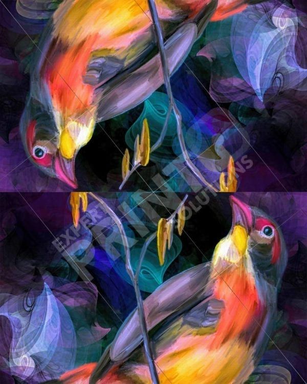Beautiful Rainbow Bird Decorative Curbside Farm Mailbox Cover
