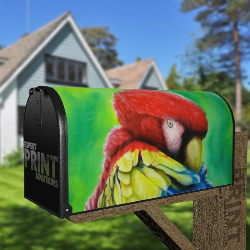 Beautiful Parrot Decorative Curbside Farm Mailbox Cover