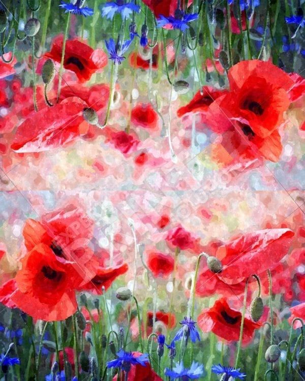 Beautiful Poppy Field and Blue Flowers Decorative Curbside Farm Mailbox Cover