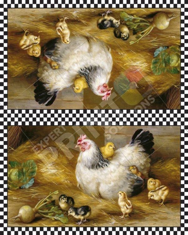 Life of the Barnyard Animals #11 Decorative Curbside Farm Mailbox Cover
