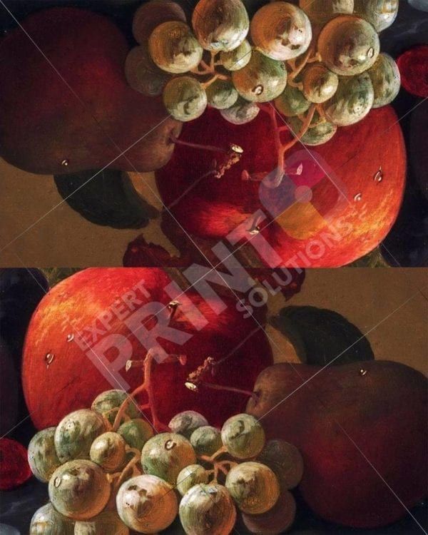 Beautiful Still Life with Juicy Fruit #10 Decorative Curbside Farm Mailbox Cover