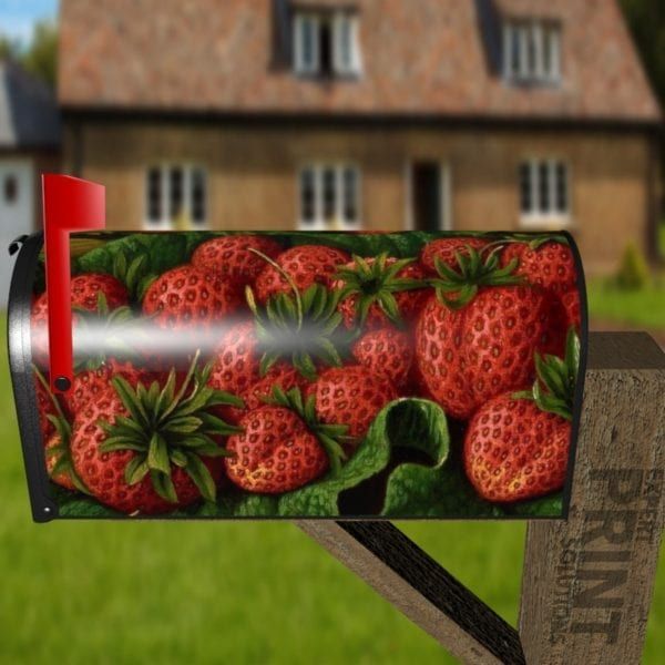 Red Juice Strawberries Decorative Curbside Farm Mailbox Cover