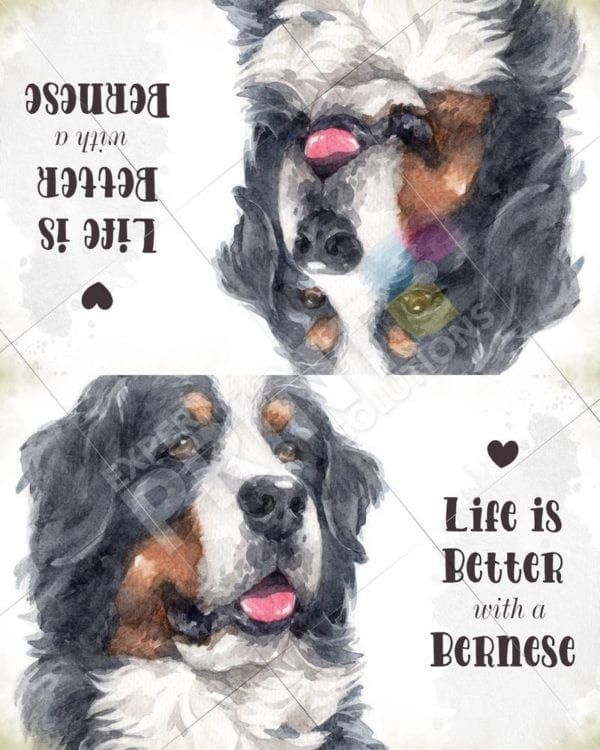 Life is Better with a Bernese Decorative Curbside Farm Mailbox Cover