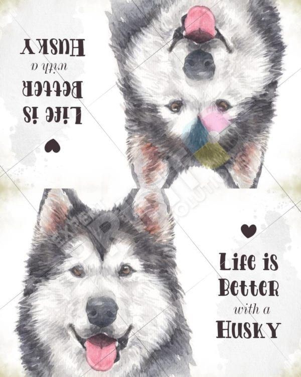 Life is Better with a Husky Decorative Curbside Farm Mailbox Cover