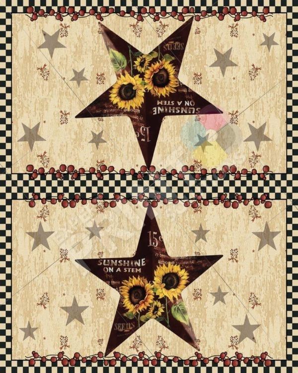 Primitive Country Folk Barn Star #2 - Welcome Decorative Curbside Farm Mailbox Cover